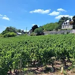 Le Cosy / Vieux Tours