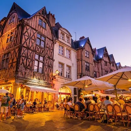 Daire Le Cosy / Vieux Tours