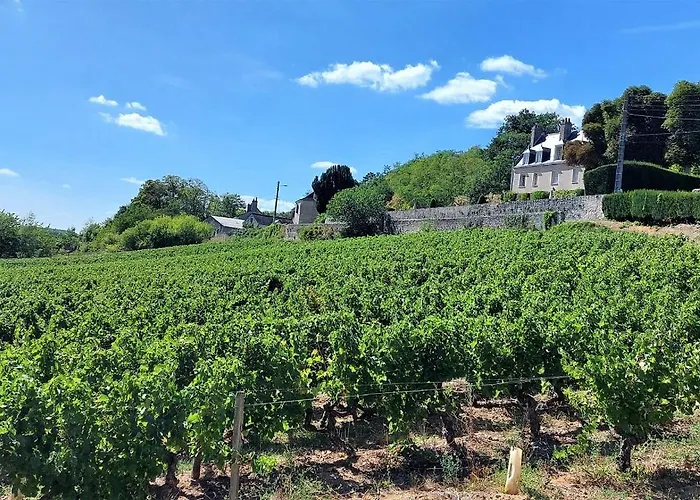 Le Cosy / Vieux 图尔